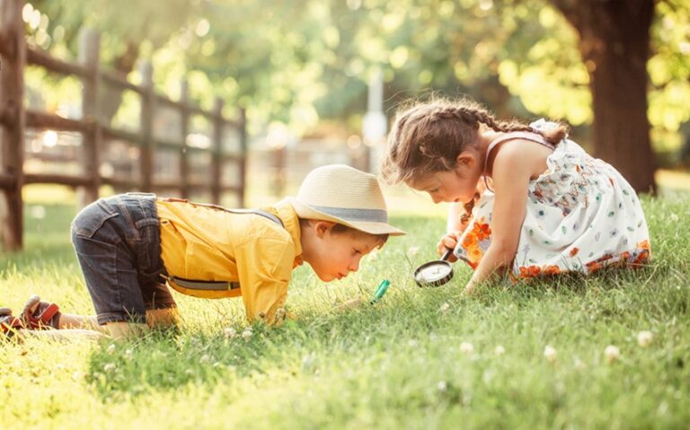 Curiosity as a Compass: Following Questions Instead of Goals