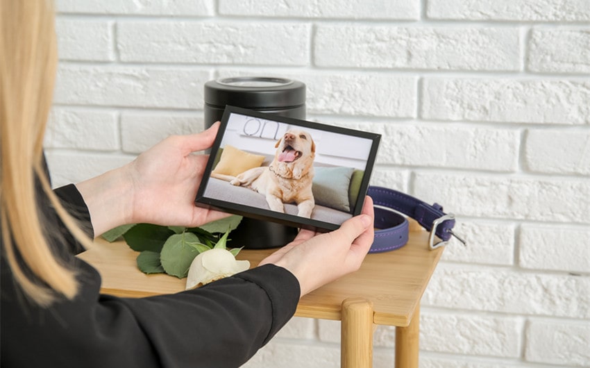 what do you say to someone when their dog dies