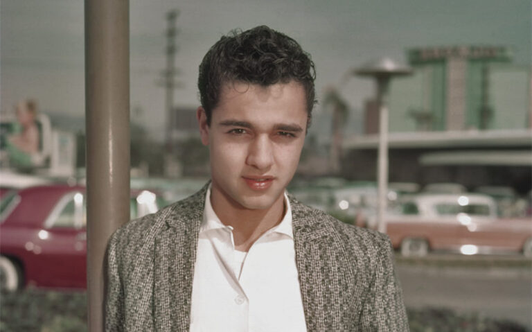 sal mineo wife
