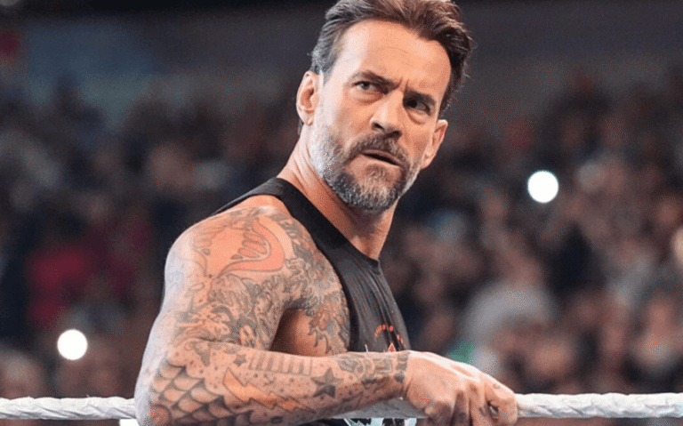 Who Is CM Punk’s Wife? Inside AJ Lee’s Real Life, Career, and Marriage